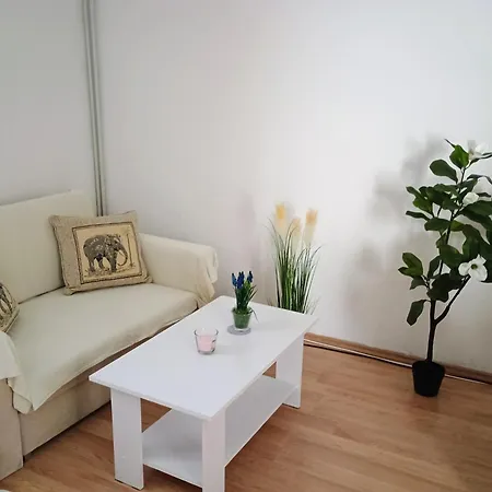 Lucky Star - Free Parking