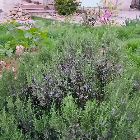 Apartamento Lucky Star - Free Parking *