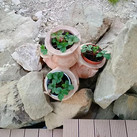 Apartment Lucky Star - Free Parking *