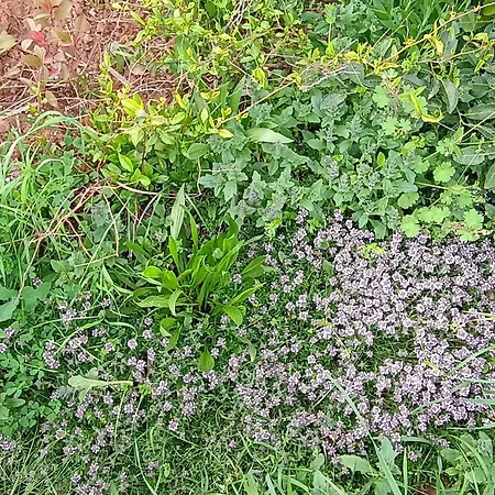 Apartamento Lucky Star - Free Parking Rijeka