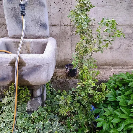 Lucky Star - Free Parking