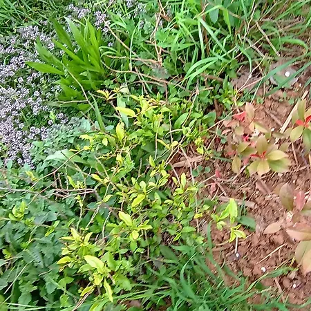 Lucky Star - Free Parking Apartamento *