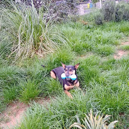 Lucky Star - Free Parking *