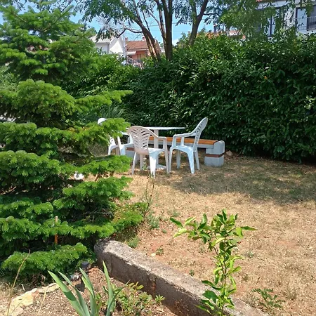 Lucky Star - Free Parking *