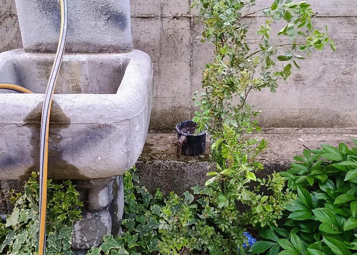 Lucky Star - Free Parking