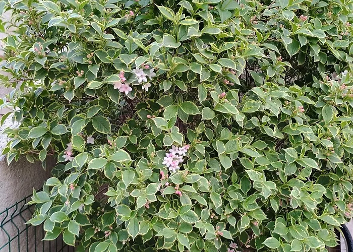 Διαμέρισμα Lucky Star - Free Parking Ριέκα